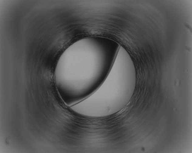 X0000093150176200709261023