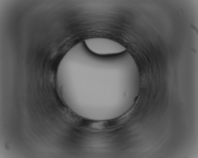X0000093150178200709261023