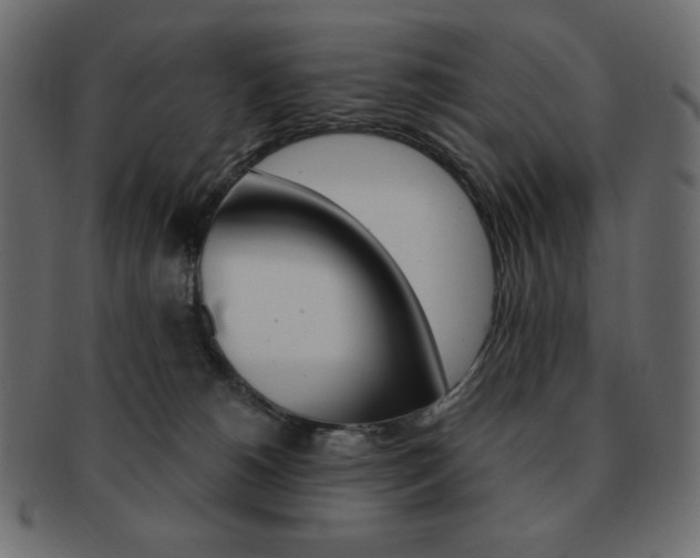 X0000093150180200709261023