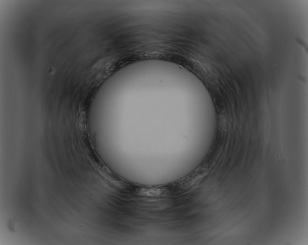 X0000093150181200709261023