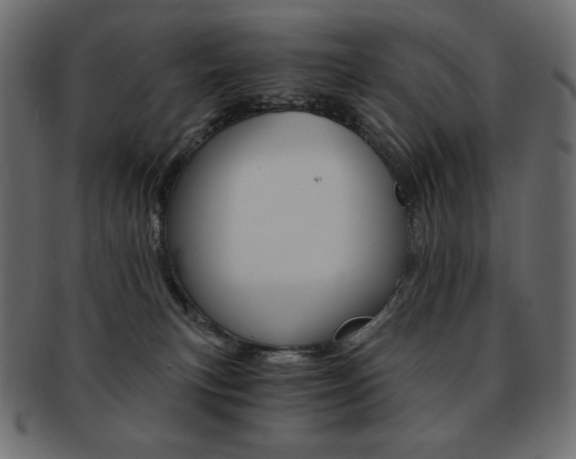 X0000093150183200709261023
