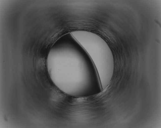 X0000093150184200709261024