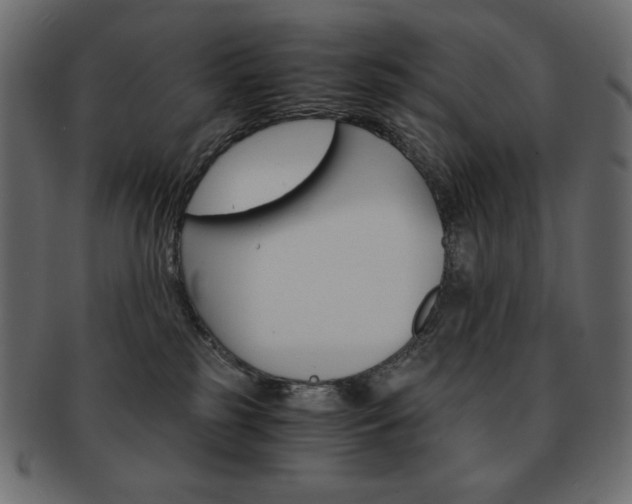 X0000093150185200709261024