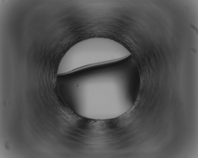 X0000093150186200709261024