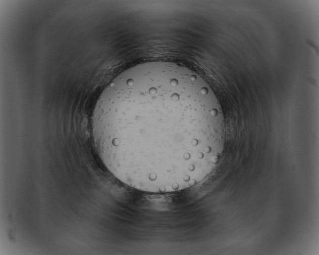 X0000093150187200709261024