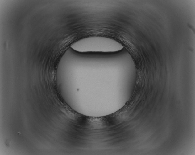 X0000093150189200709261024