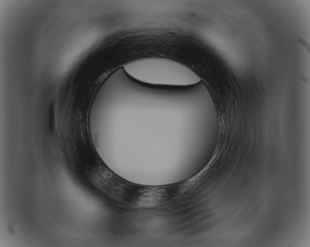 X0000093150191200709261024