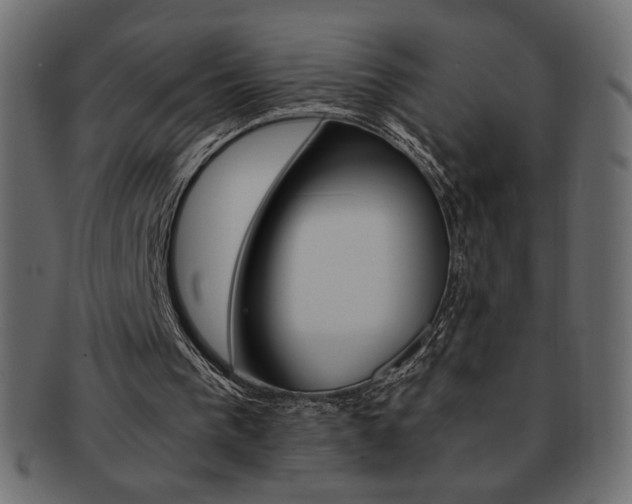 X0000093150193200709261023