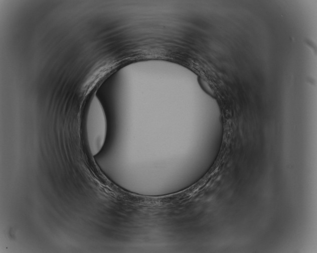 X0000093150194200709261023