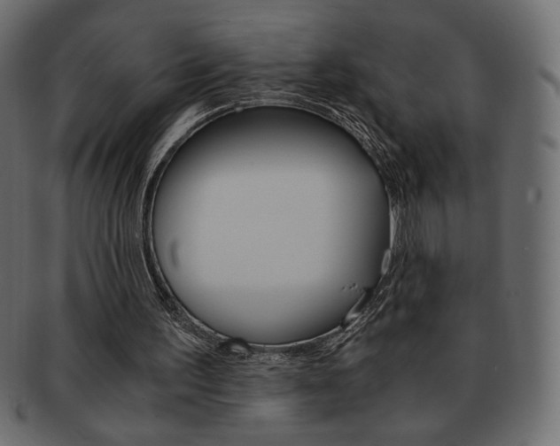 X0000093150195200709261023