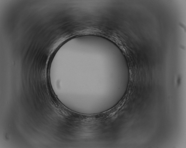 X0000093150196200709261023