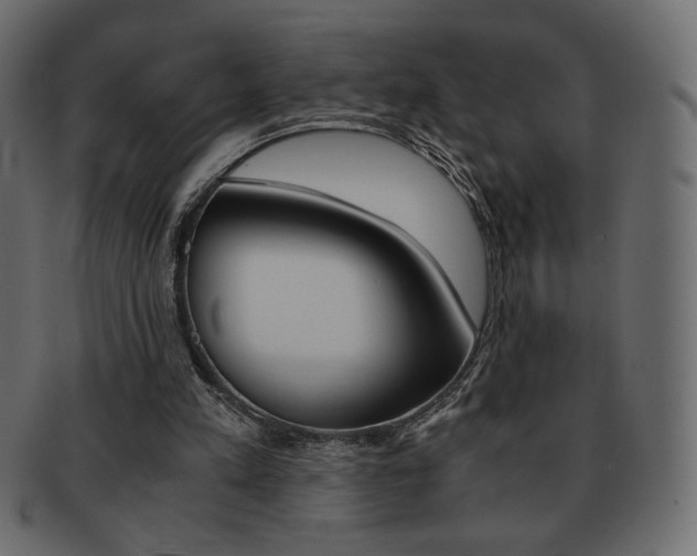 X0000093150197200709261023