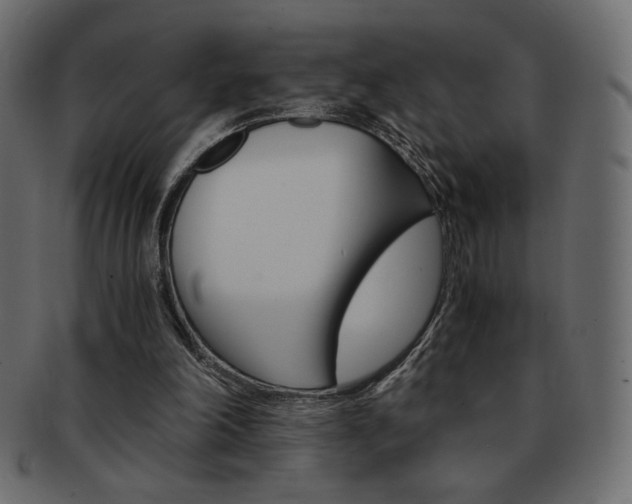X0000093150198200709261023