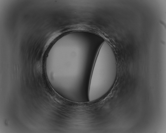X0000093150200200709261023