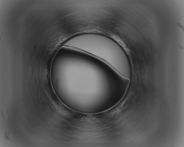 X0000093150201200709261023