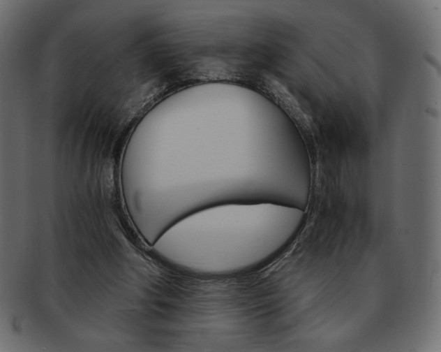 X0000093150202200709261023