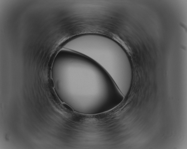 X0000093150203200709261023