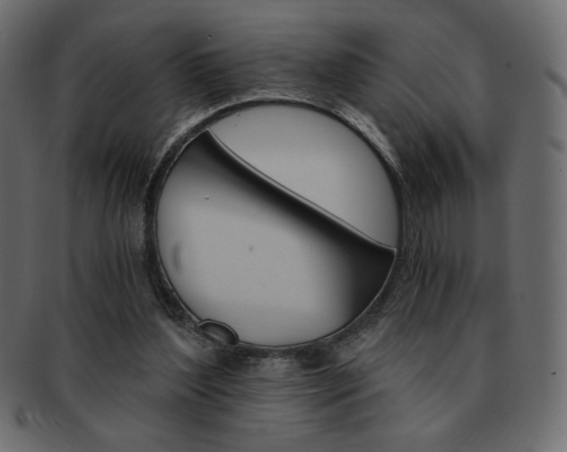 X0000093150204200709261023