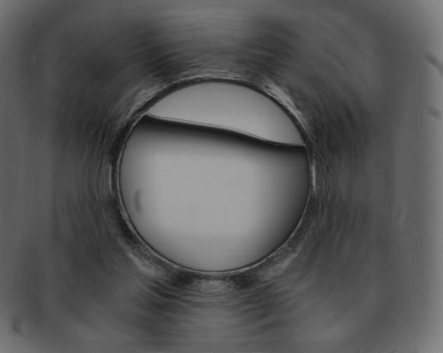 X0000093150205200709261023