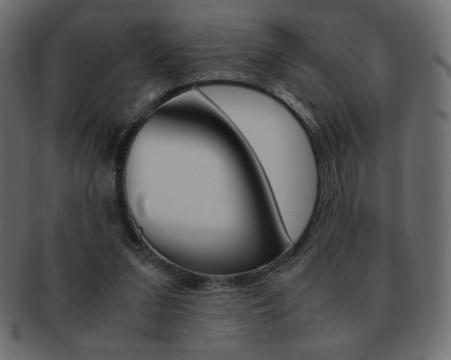 X0000093150207200709261023
