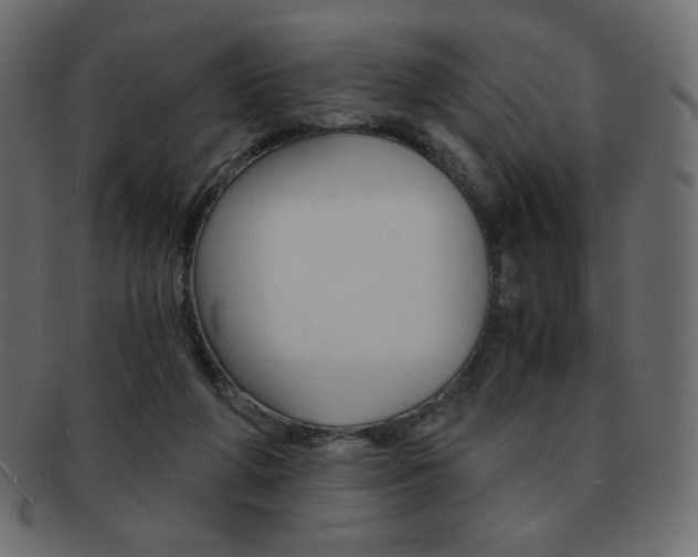 X0000093150210200709261023