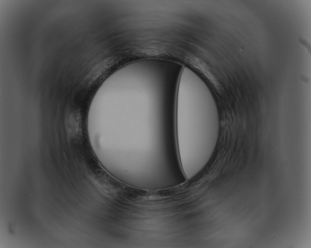 X0000093150212200709261023