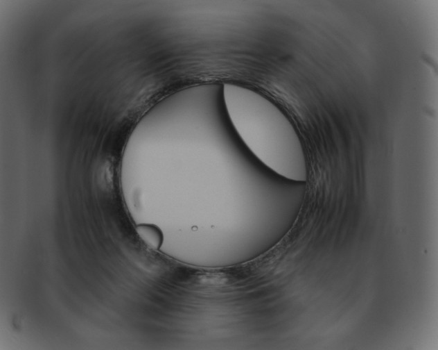 X0000093150214200709261023