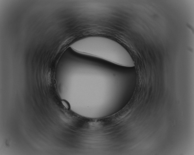 X0000093150216200709261023