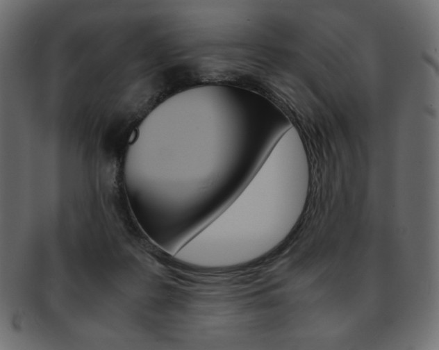 X0000093150219200709261023
