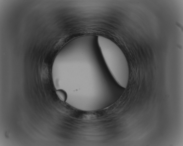 X0000093150220200709261023