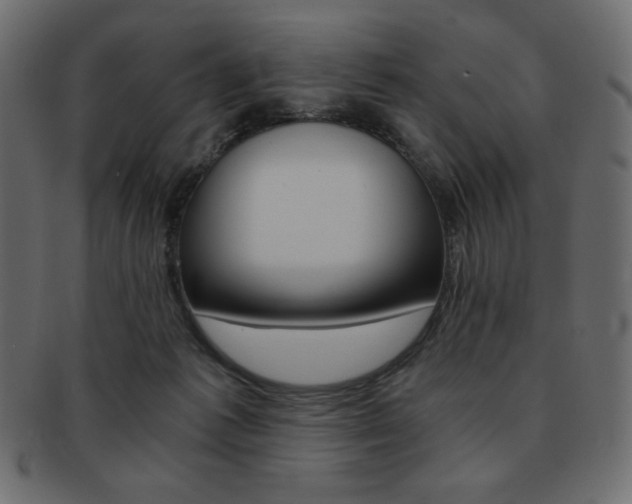 X0000093150221200709261023