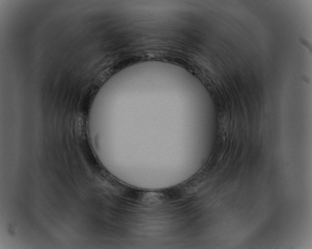 X0000093150222200709261023