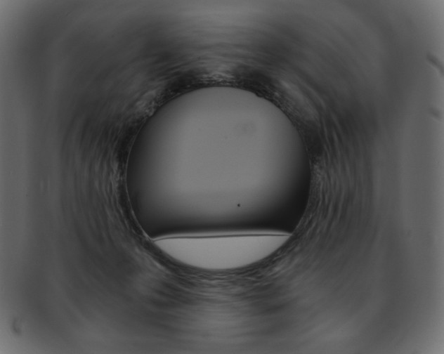 X0000093150223200709261023