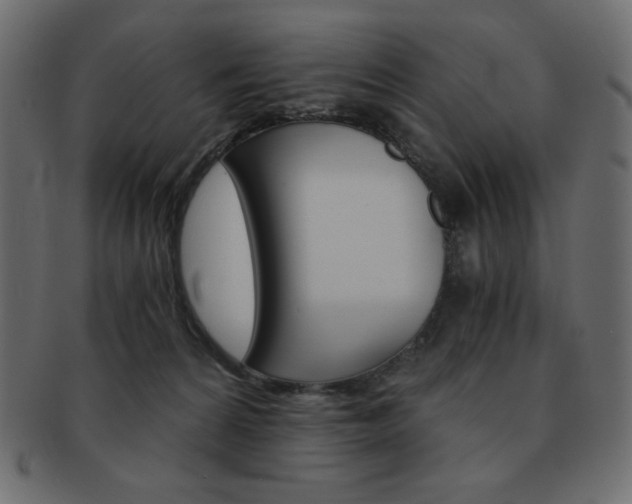 X0000093150224200709261022