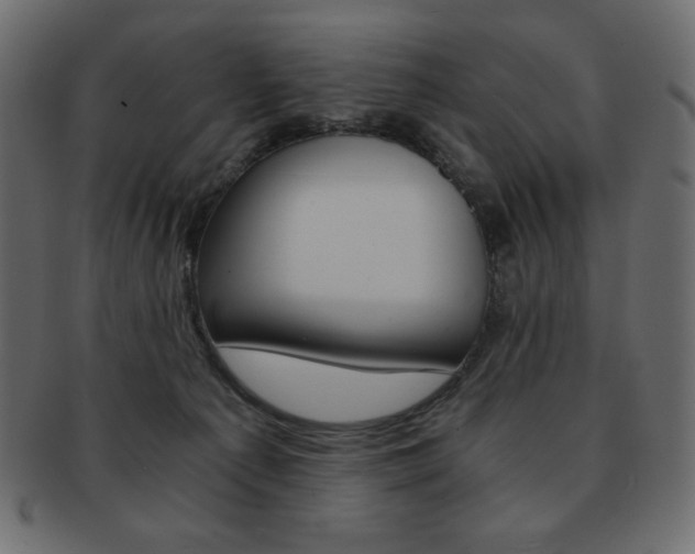 X0000093150225200709261022