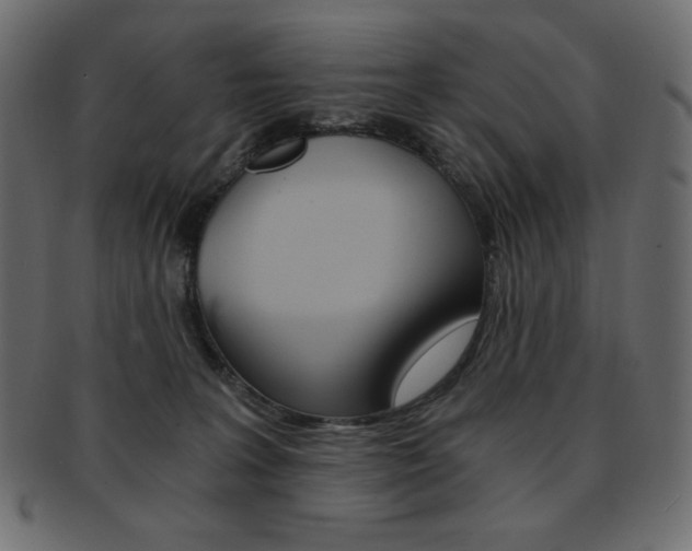 X0000093150227200709261022