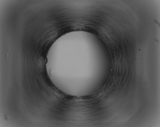 X0000093150228200709261022