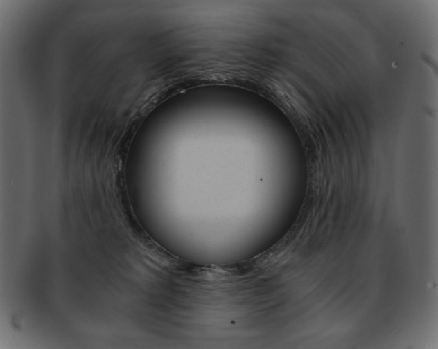 X0000093150229200709261022