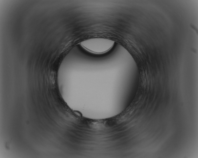 X0000093150232200709261022