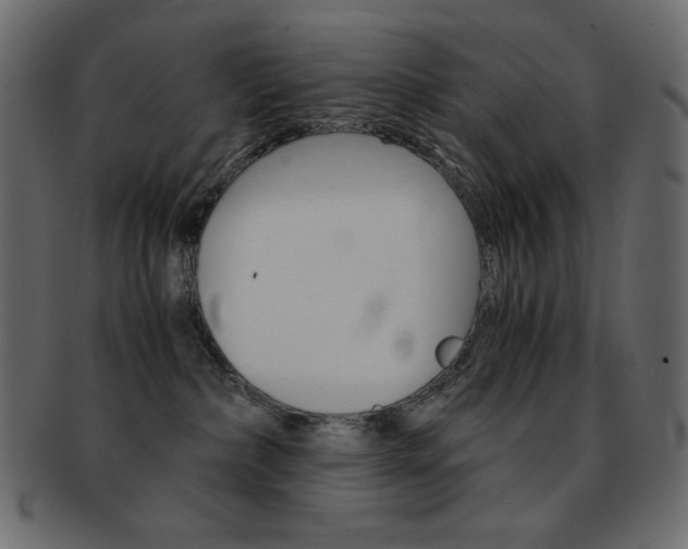 X0000093150236200709261022