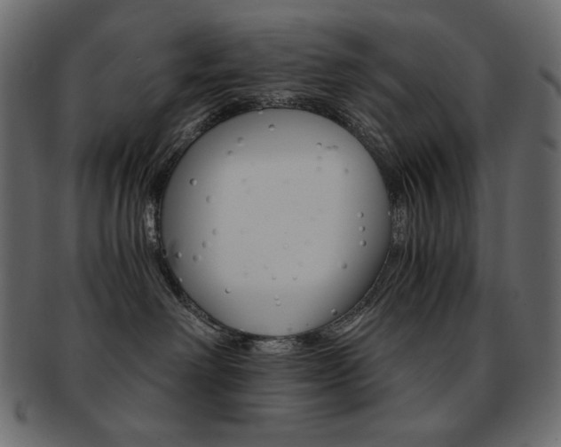 X0000093150238200709261022
