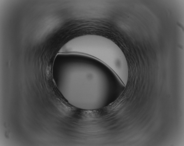 X0000093150239200709261022