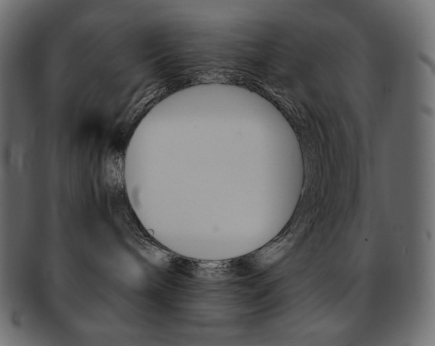 X0000093150240200709261022