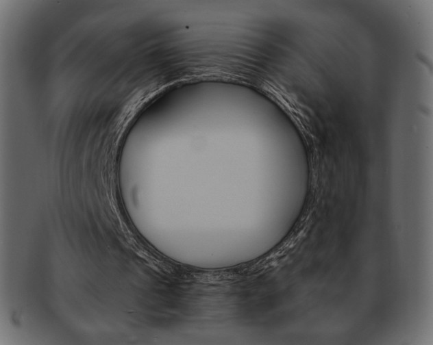 X0000093150241200709261022