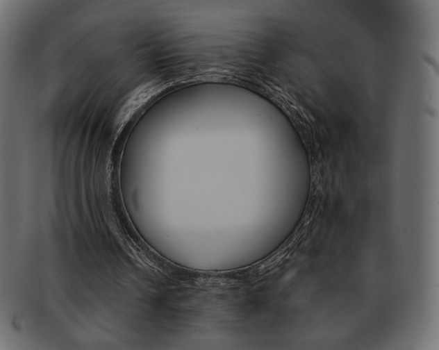 X0000093150242200709261022