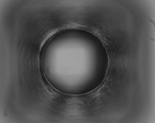 X0000093150244200709261022