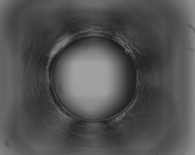 X0000093150245200709261022