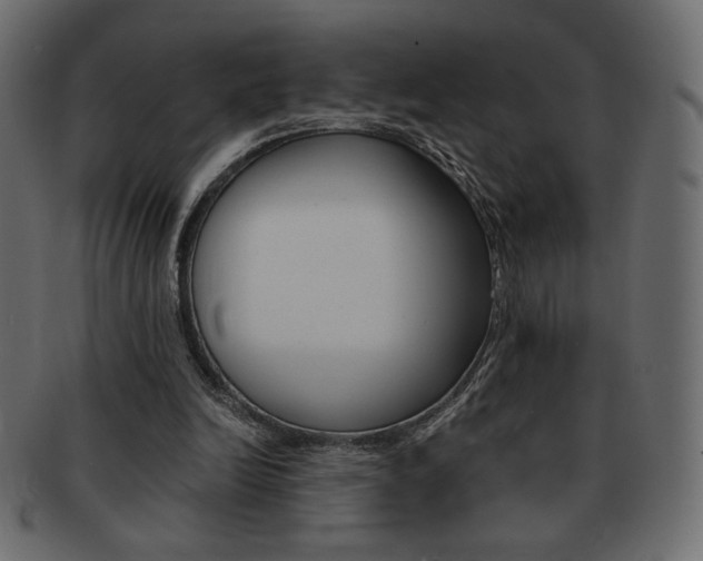 X0000093150246200709261022