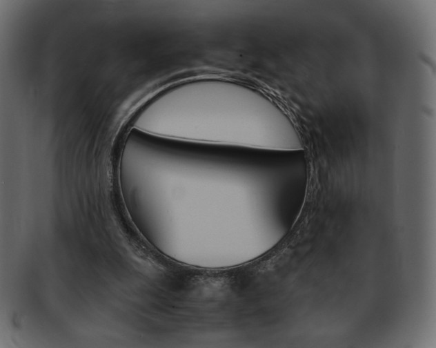 X0000093150247200709261022