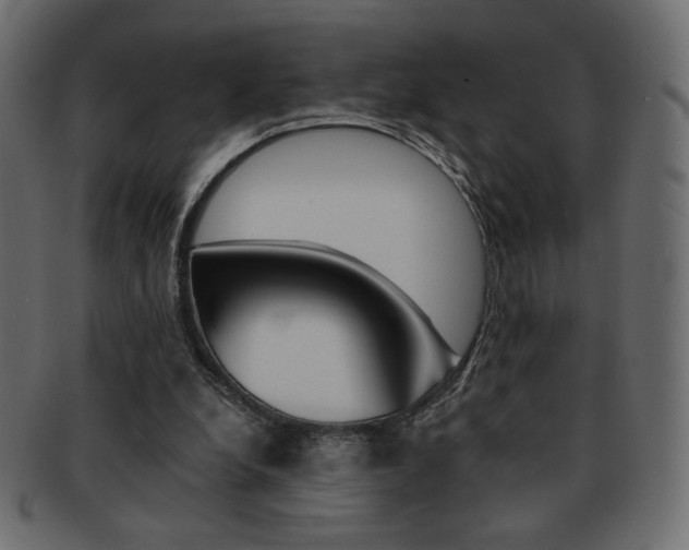 X0000093150248200709261022